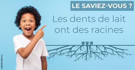 https://selarl-mardam.chirurgiens-dentistes.fr/Les dents de lait 2