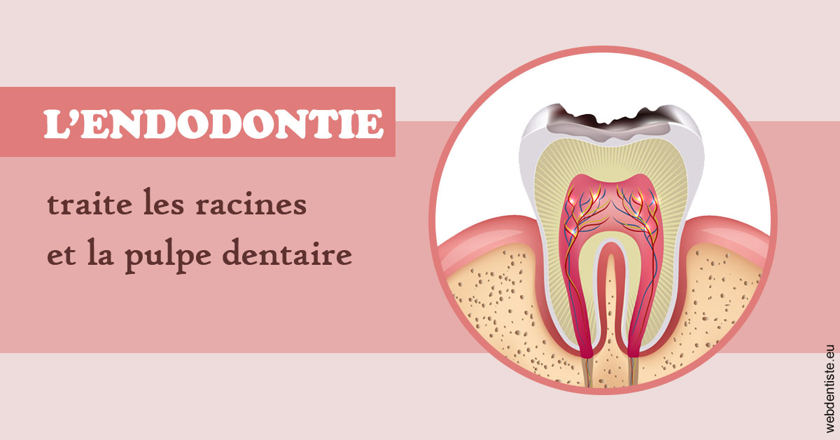 https://selarl-mardam.chirurgiens-dentistes.fr/L'endodontie 2